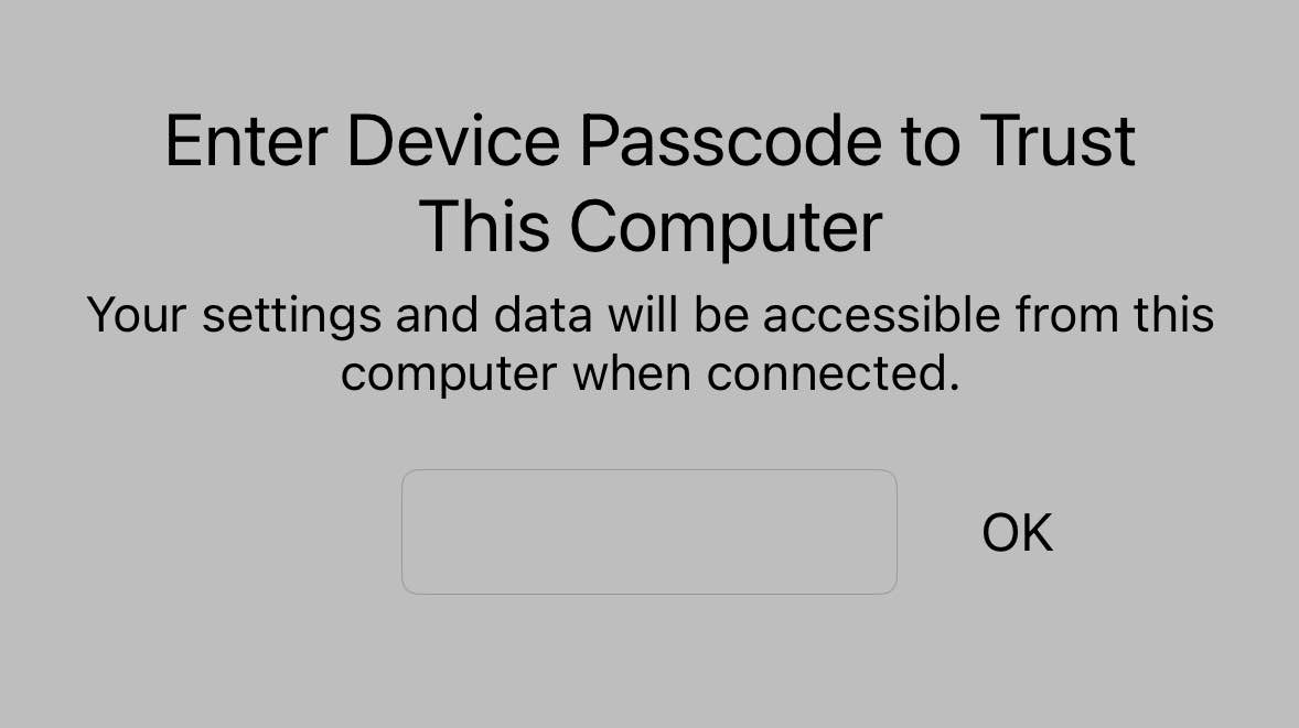 iPhone Trust Screen